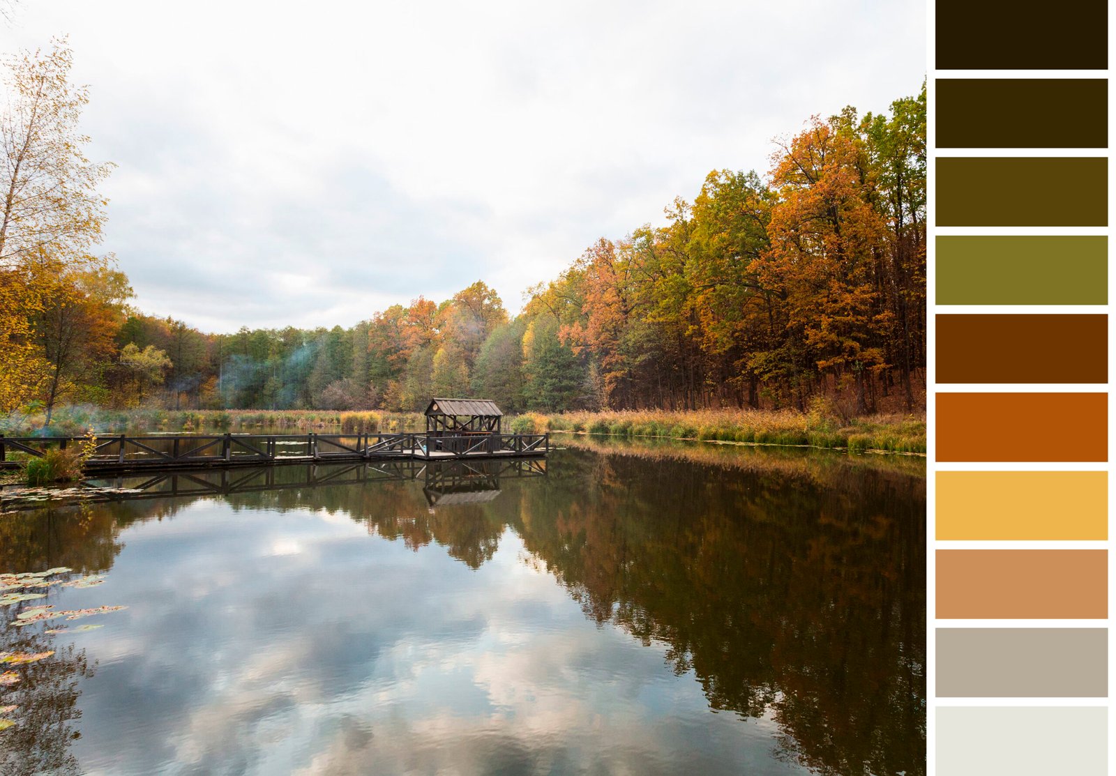 Seekcolor: Create Stunning Color Palettes from Images